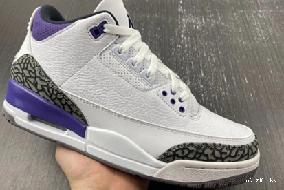 CT8532- 8793 Modern “Dark Air 404 3 Jordan Iris” 0823